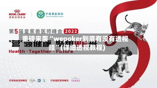 重磅来袭“wepoker到底有没有透视挂”(详细透视教程)-第3张图片