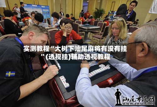 实测教程“大树下汕尾麻将有没有挂”(透视挂)辅助透视教程