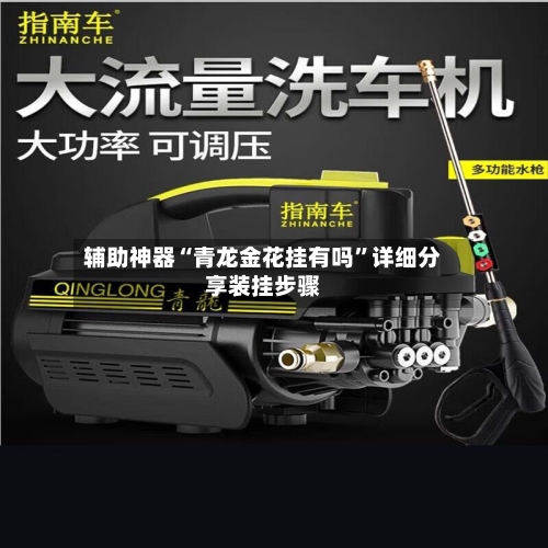 辅助神器“青龙金花挂有吗”详细分享装挂步骤-第2张图片