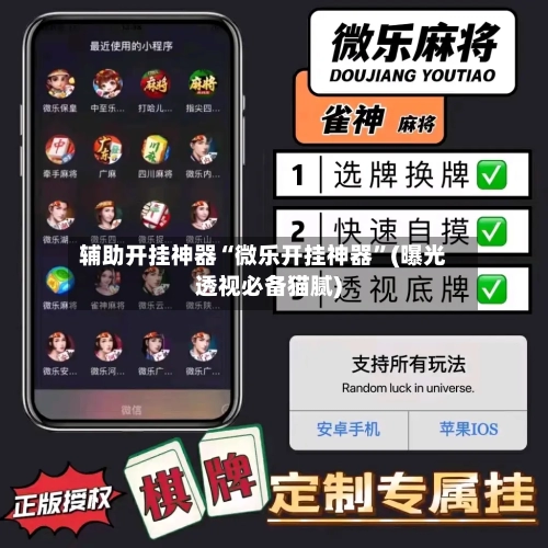 辅助开挂神器“微乐开挂神器”(曝光透视必备猫腻)