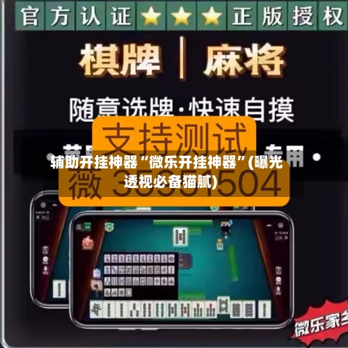 辅助开挂神器“微乐开挂神器	”(曝光透视必备猫腻)-第3张图片