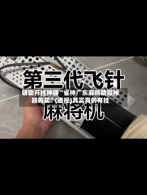 辅助开挂神器“雀神广东麻将助赢神器购买”(透视)其实真的有挂-第2张图片