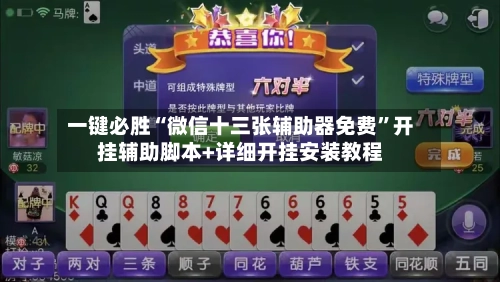 一键必胜“微信十三张辅助器免费	”开挂辅助脚本+详细开挂安装教程-第2张图片
