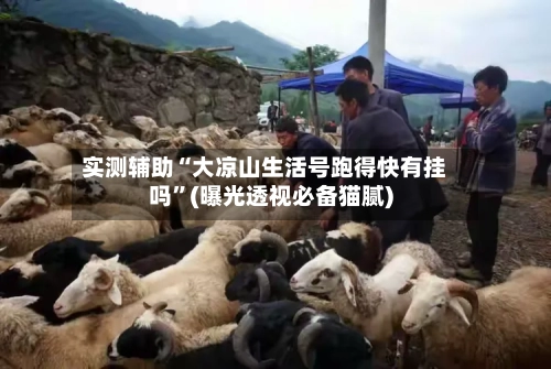 实测辅助“大凉山生活号跑得快有挂吗	”(曝光透视必备猫腻)-第2张图片
