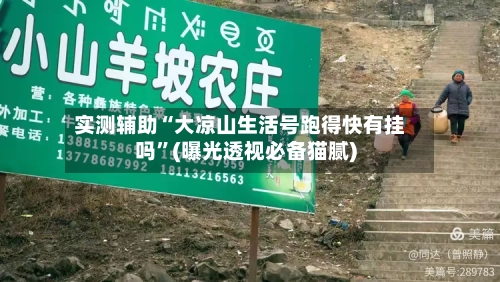 实测辅助“大凉山生活号跑得快有挂吗”(曝光透视必备猫腻)-第3张图片