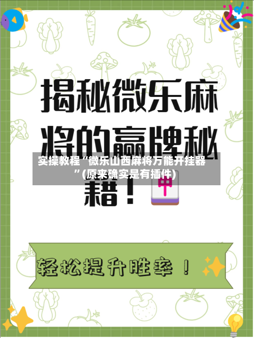 实操教程“微乐山西麻将万能开挂器”(原来确实是有插件)-第2张图片
