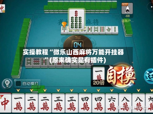 实操教程“微乐山西麻将万能开挂器”(原来确实是有插件)-第3张图片