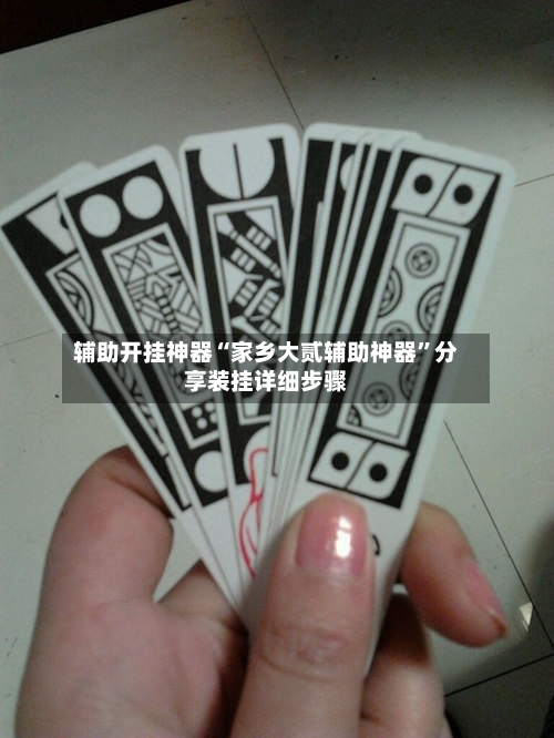 辅助开挂神器“家乡大贰辅助神器”分享装挂详细步骤