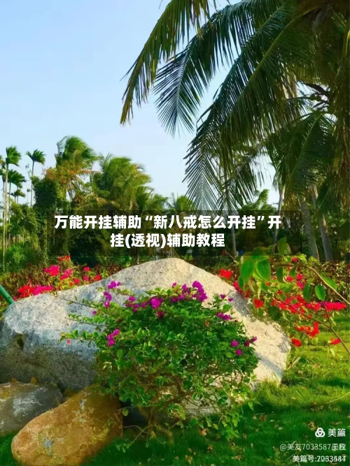 万能开挂辅助“新八戒怎么开挂”开挂(透视)辅助教程-第2张图片
