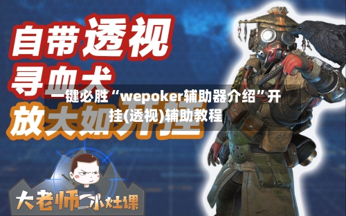 一键必胜“wepoker辅助器介绍”开挂(透视)辅助教程-第2张图片