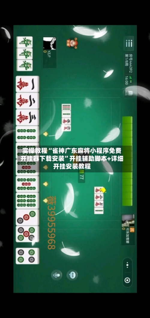 实操教程“雀神广东麻将小程序免费开挂器下载安装”开挂辅助脚本+详细开挂安装教程-第2张图片