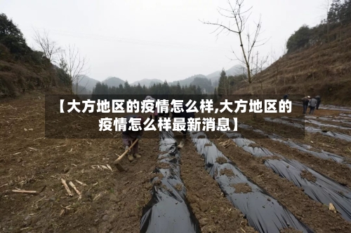 【大方地区的疫情怎么样,大方地区的疫情怎么样最新消息】-第2张图片