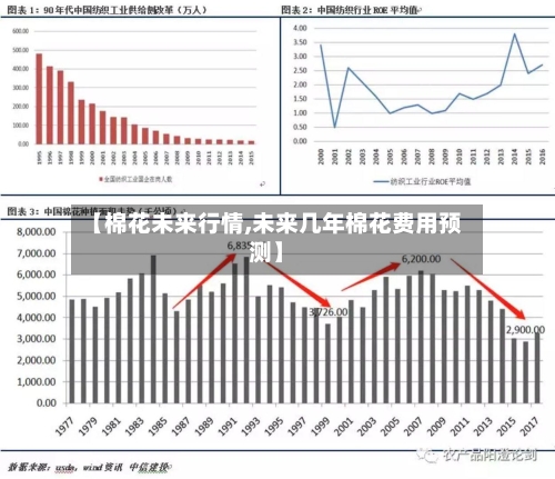 【棉花未来行情,未来几年棉花费用预测】