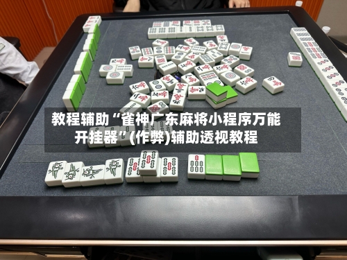 教程辅助“雀神广东麻将小程序万能开挂器”(作弊)辅助透视教程-第2张图片