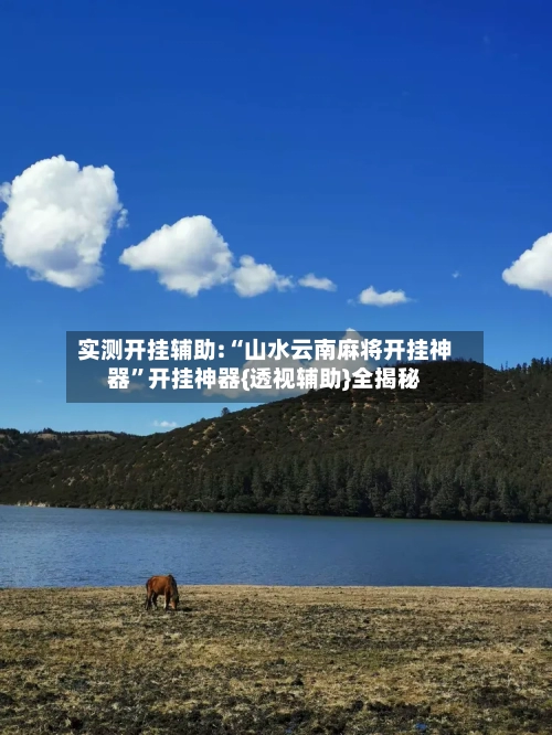 实测开挂辅助:“山水云南麻将开挂神器”开挂神器{透视辅助}全揭秘