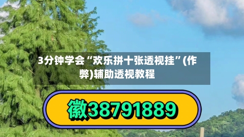 3分钟学会“欢乐拼十张透视挂”(作弊)辅助透视教程