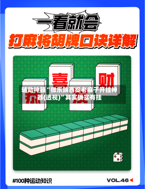 辅助神器“微乐陕西捉老麻子开挂神器(透视)”其实确实有挂