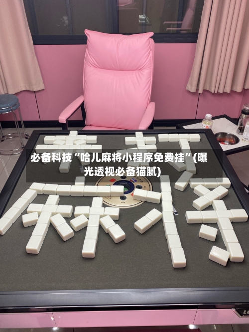 必备科技“哈儿麻将小程序免费挂”(曝光透视必备猫腻)-第2张图片