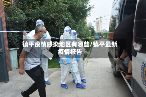 镇平疫情感染地区有哪些/镇平最新疫情报告-第3张图片