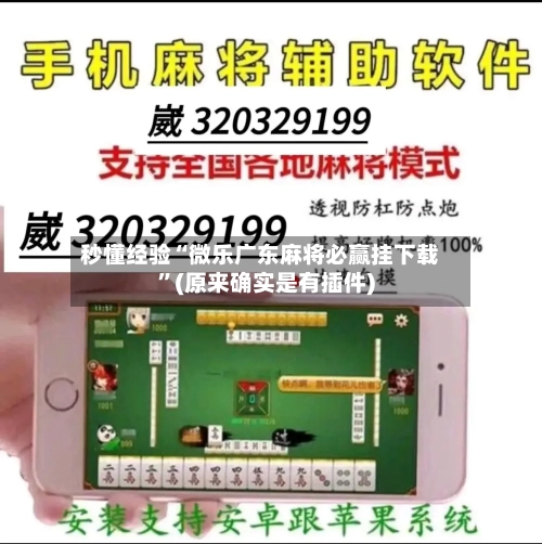 秒懂经验“微乐广东麻将必赢挂下载”(原来确实是有插件)-第2张图片