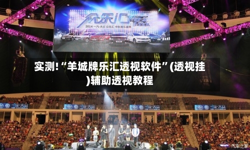 实测!“羊城牌乐汇透视软件”(透视挂)辅助透视教程