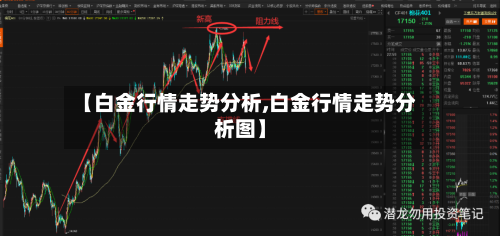 【白金行情走势分析,白金行情走势分析图】-第2张图片
