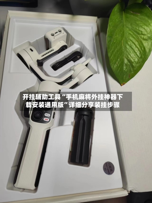 开挂辅助工具“手机麻将外挂神器下载安装通用版”详细分享装挂步骤