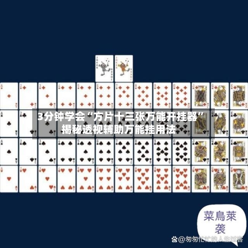 3分钟学会“方片十三张万能开挂器”揭秘透视辅助万能挂用法