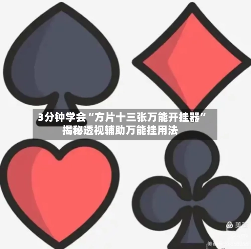 3分钟学会“方片十三张万能开挂器”揭秘透视辅助万能挂用法-第3张图片