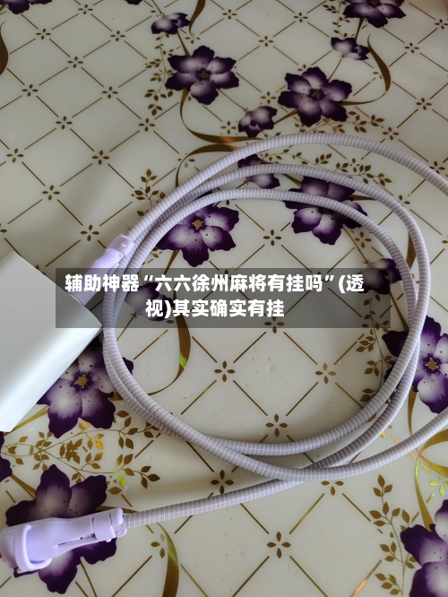 辅助神器“六六徐州麻将有挂吗”(透视)其实确实有挂-第3张图片