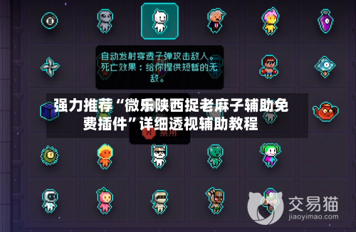 强力推荐“微乐陕西捉老麻子辅助免费插件”详细透视辅助教程-第3张图片