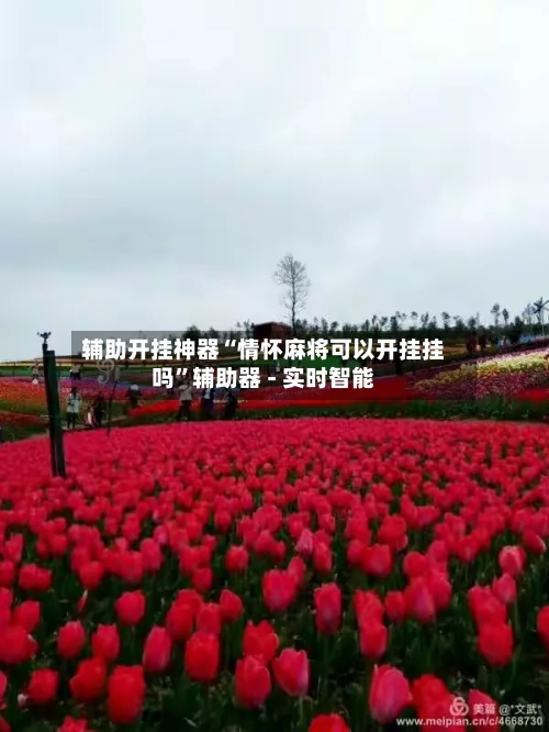 辅助开挂神器“情怀麻将可以开挂挂吗”辅助器 - 实时智能