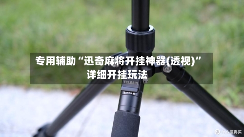 专用辅助“迅奇麻将开挂神器(透视)”详细开挂玩法