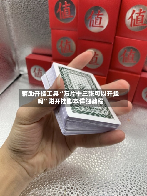 辅助开挂工具“方片十三张可以开挂吗”附开挂脚本详细教程-第2张图片