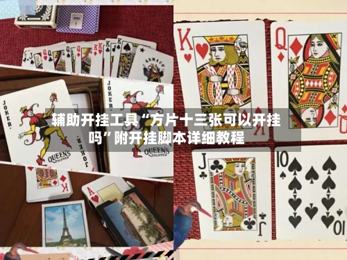辅助开挂工具“方片十三张可以开挂吗”附开挂脚本详细教程-第3张图片