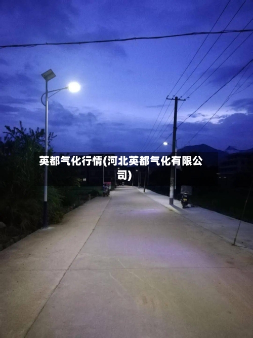 英都气化行情(河北英都气化有限公司)