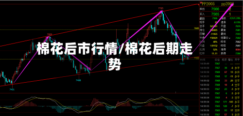 棉花后市行情/棉花后期走势-第2张图片