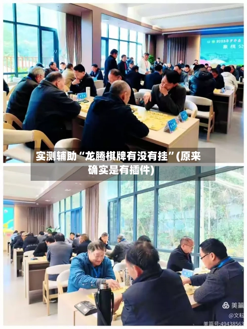 实测辅助“龙腾棋牌有没有挂”(原来确实是有插件)-第2张图片