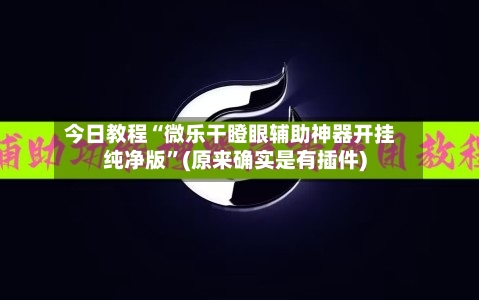 今日教程“微乐干瞪眼辅助神器开挂纯净版	”(原来确实是有插件)-第2张图片