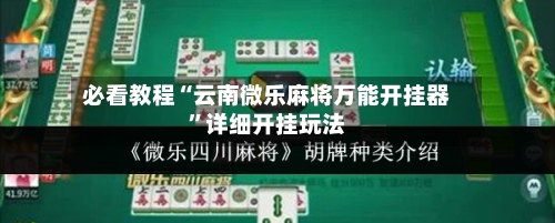 必看教程“云南微乐麻将万能开挂器”详细开挂玩法-第2张图片
