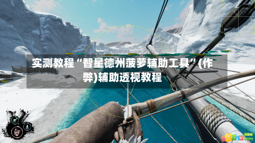 实测教程“智星德州菠萝辅助工具	”(作弊)辅助透视教程-第2张图片