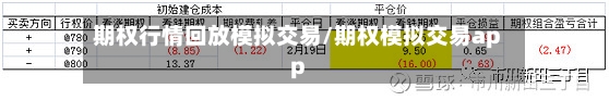 期权行情回放模拟交易/期权模拟交易app