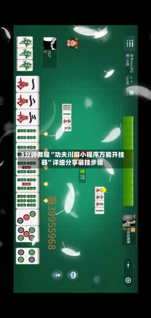 3分钟教程“功夫川麻小程序万能开挂器”详细分享装挂步骤-第3张图片