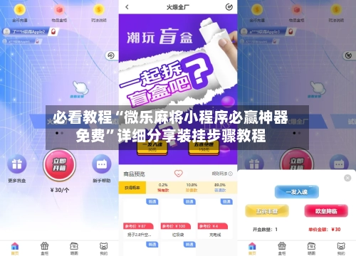 必看教程“微乐麻将小程序必赢神器免费	”详细分享装挂步骤教程-第2张图片