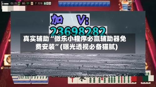 真实辅助“微乐小程序必赢辅助器免费安装”(曝光透视必备猫腻)-第2张图片