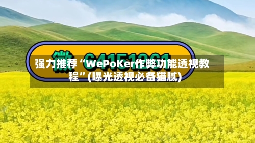 强力推荐“WePoKer作弊功能透视教程”(曝光透视必备猫腻)