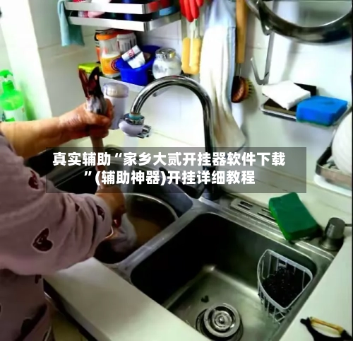 真实辅助“家乡大贰开挂器软件下载”(辅助神器)开挂详细教程