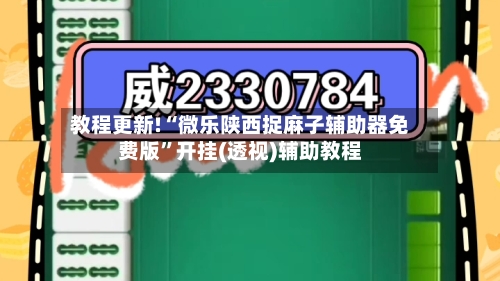 教程更新!“微乐陕西捉麻子辅助器免费版	”开挂(透视)辅助教程-第2张图片