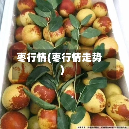 枣行情(枣行情走势)-第2张图片