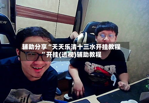 辅助分享“天天乐清十三水开挂教程”开挂(透视)辅助教程-第3张图片
